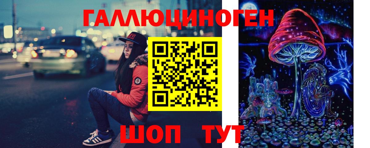 Отрадный  Галлюциногенные грибы Psilocybine cubensis  Вход с VPN 